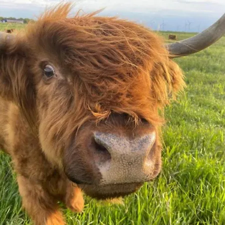 Appartement Huus Marschkiek Langenhorn